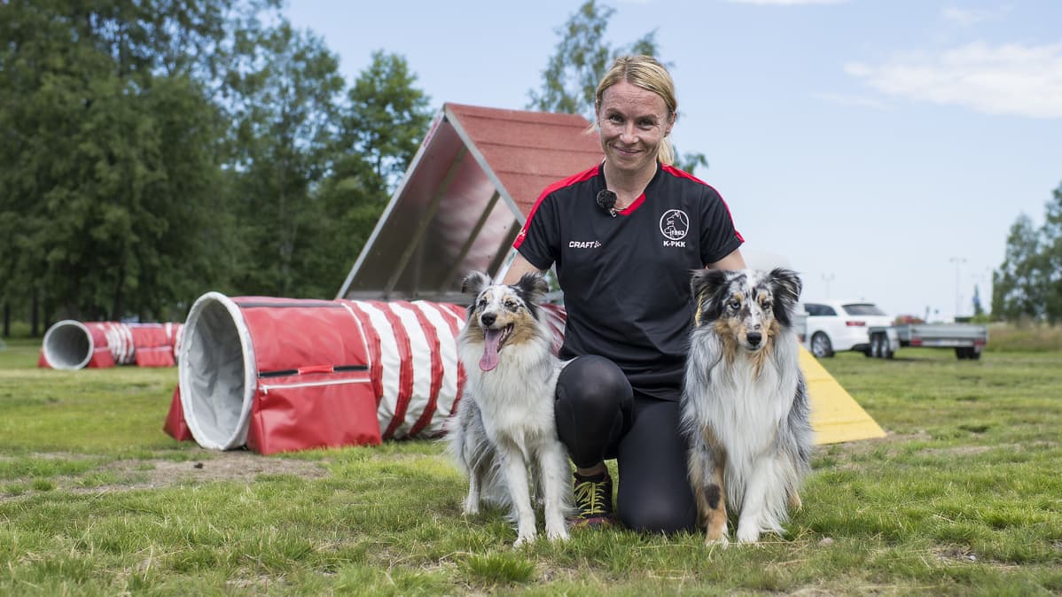 Jonna Keskitalo Shetlanninlammaskoiriensa kanssa.