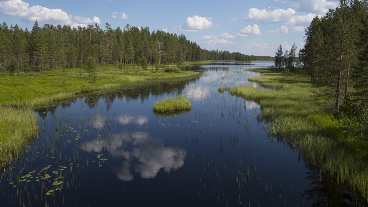 Vesistömaisema kansallispuistossa.