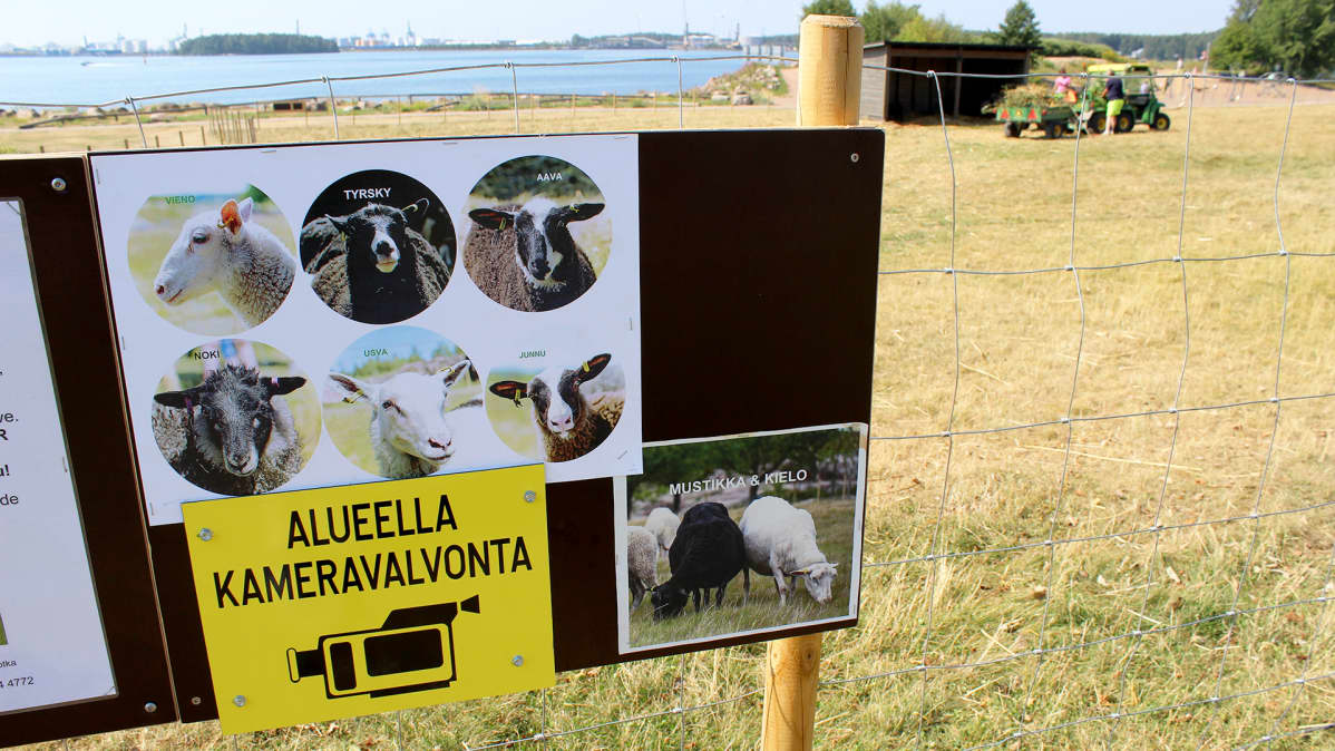 Lammasaitauksen kameravalvonnnasta kertova kyltti