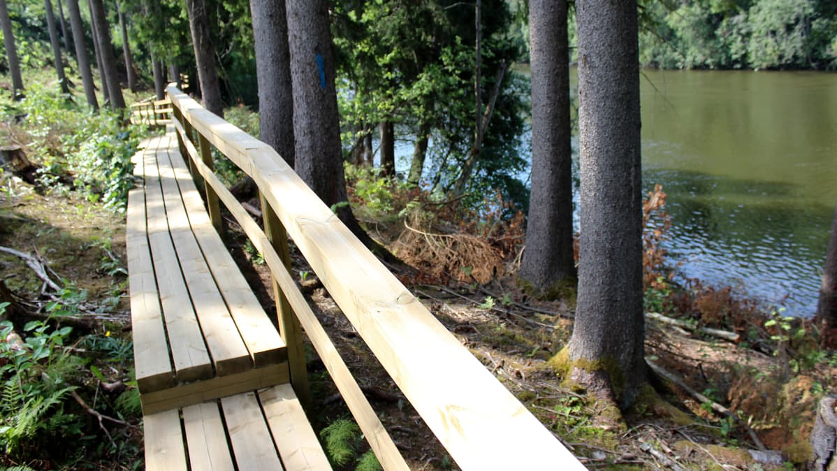 Kymijoen ulkoilureitin puinen kävelysilta