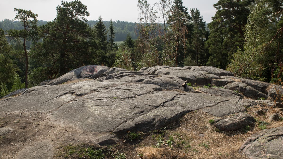 Näkymä Vartiokylän linnavuorelta Vartiokylänlahdelle päin