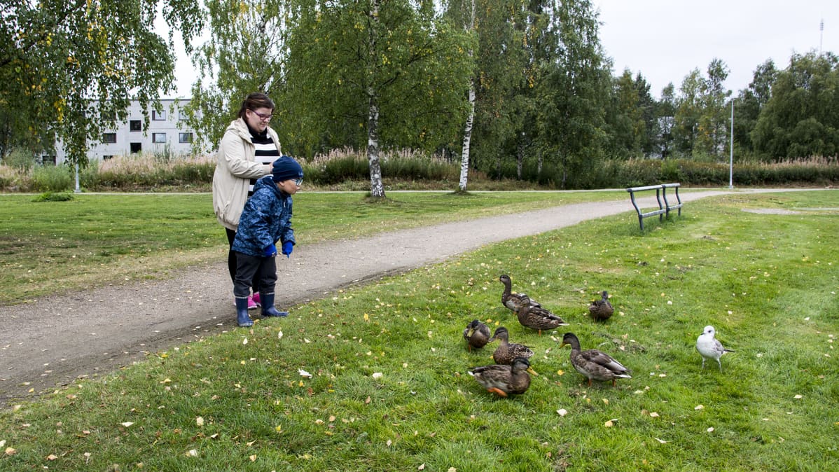 Pieni poika ruokkii sorsia yhdessä äitinsä kanssa.