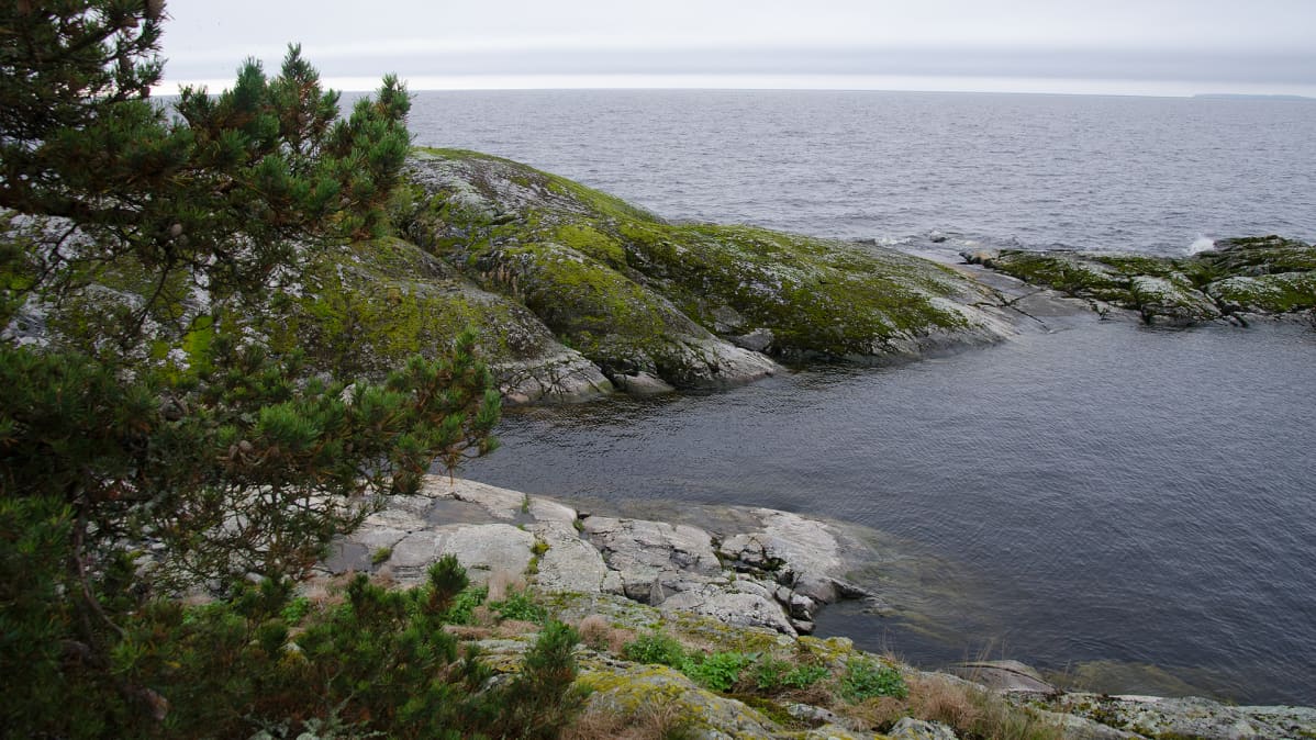 Maisema Laatokalta.