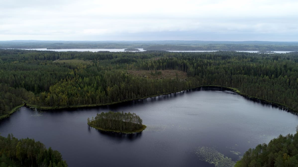 eroottinen hieronta rovaniemi nettikauppa eroottinen hieronta rovaniemi nettikauppa
