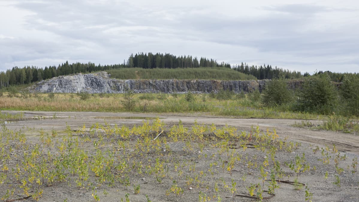 Alue, johon suunnitteilla Finnpulpin tehdas.