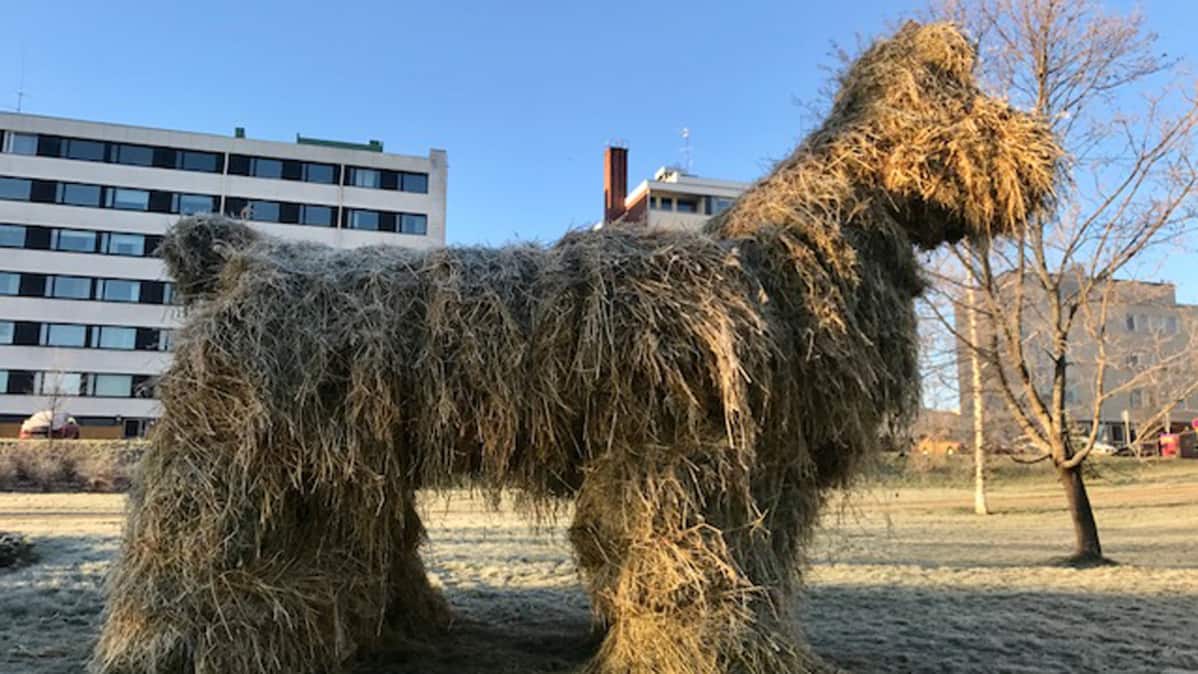 kekripukki kajaani