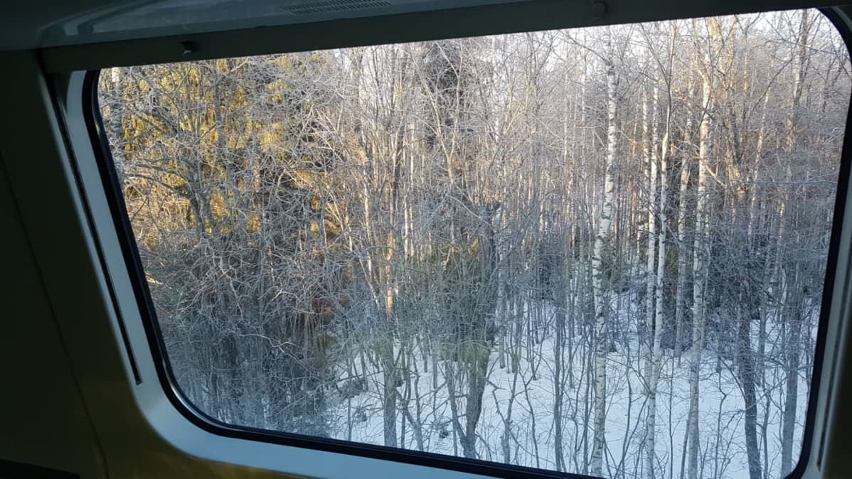 Näkymä InterCity-junan ikkunasta Mäntyharjussa.