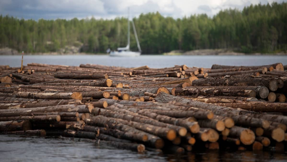 Tukkilautta Saimaalla.