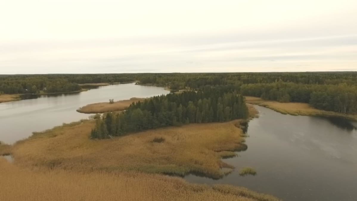 Hässjeholmenin saarta ympäröi vesijättömaa.