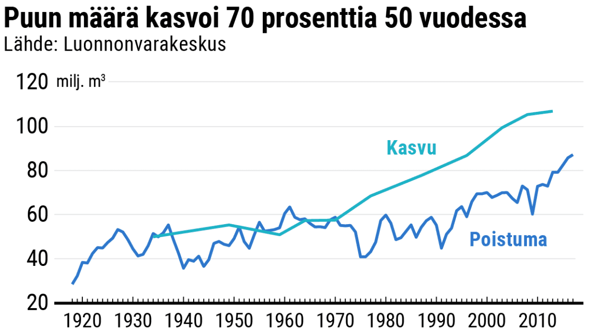 Puun määrä kasvoi 70 prosenttia 50 vuodessa