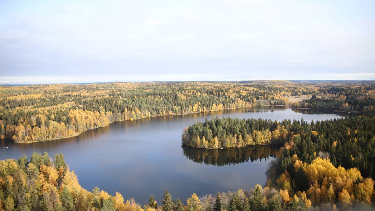 Kuva Aulangon näkötornilta alas Alunganjärvelle ja Lusikkaniemeen.