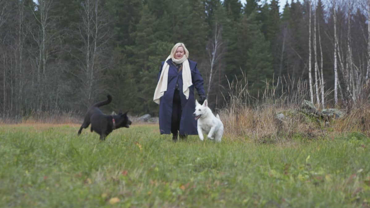 Pellolla nainen ja kaksi telmivää koiraa.