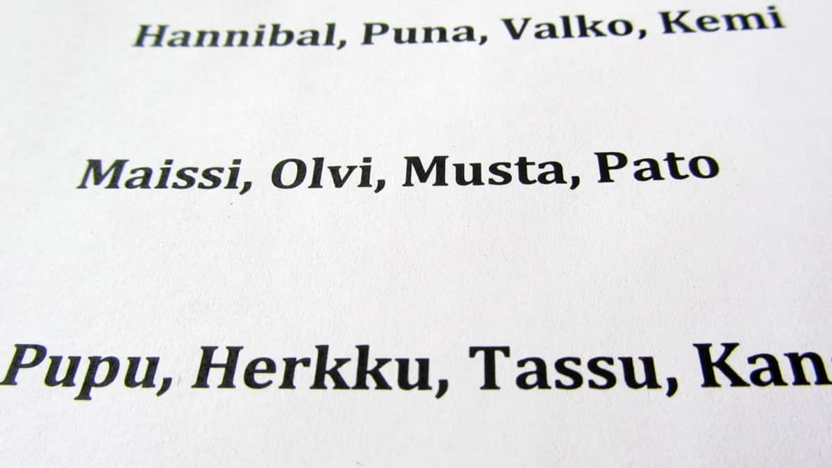 Iso musta Dick käsi työpaikkoja