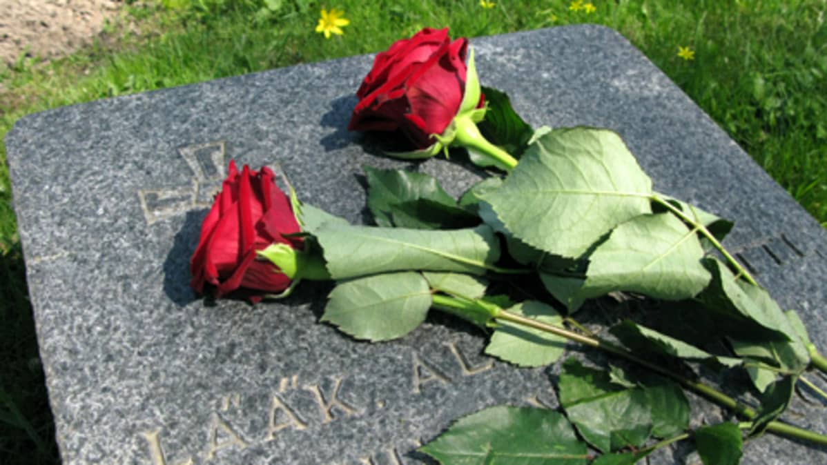 Punaisia ruusuja sodassa kaatuneen haudalla Kaatuneitten muistopäivänä 16.5.2010.