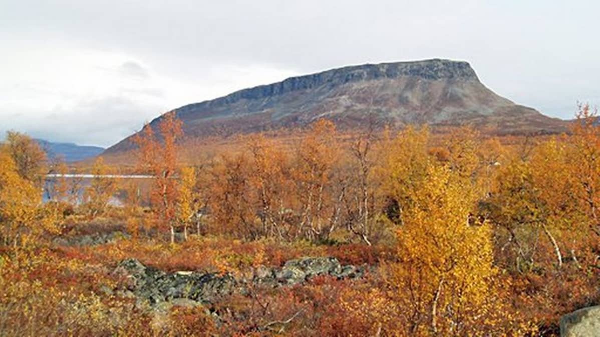Kilpisjärven mahtava Saana