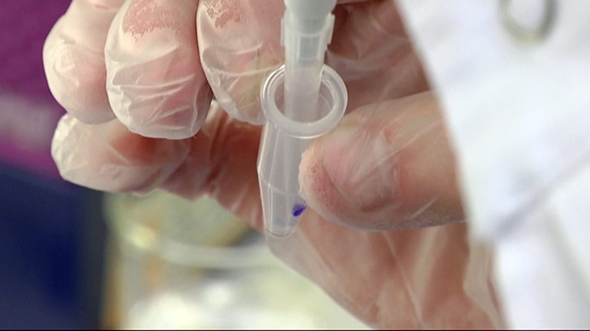 Tutkija pipetoi Tampereen yliopiston rokotetutkimuskeskuksen laboratoriossa