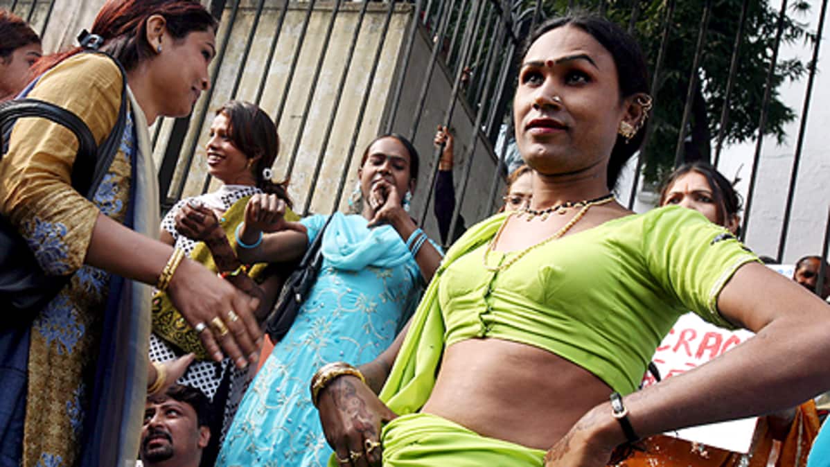 Homo seksiä storues