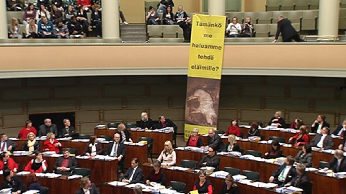 Mielenosoittajat laskevat eduskunnan lehteriltä salin lattiaan ulottuvan banderollin, jossa on kuva sikalasas makaavasta siasta sekä teksti "Tämänkö me haluamme tehdä eläimille". Eduskunnan vahtimestari juoksee lehterillä paikalle.