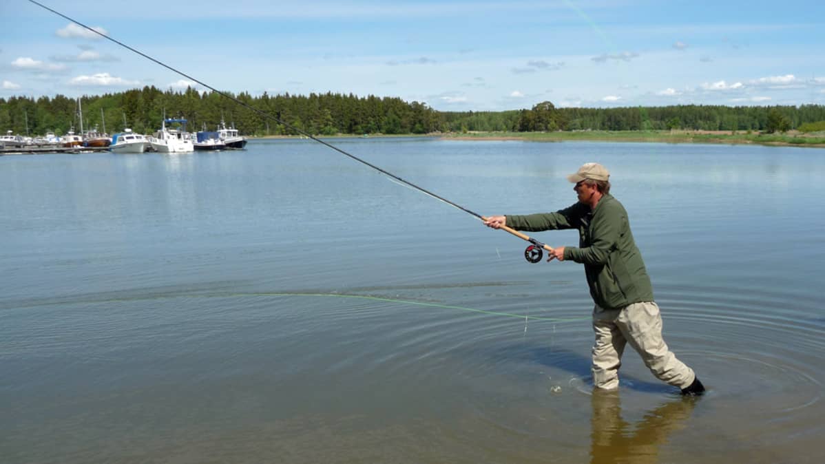 Koukku heitellä 500