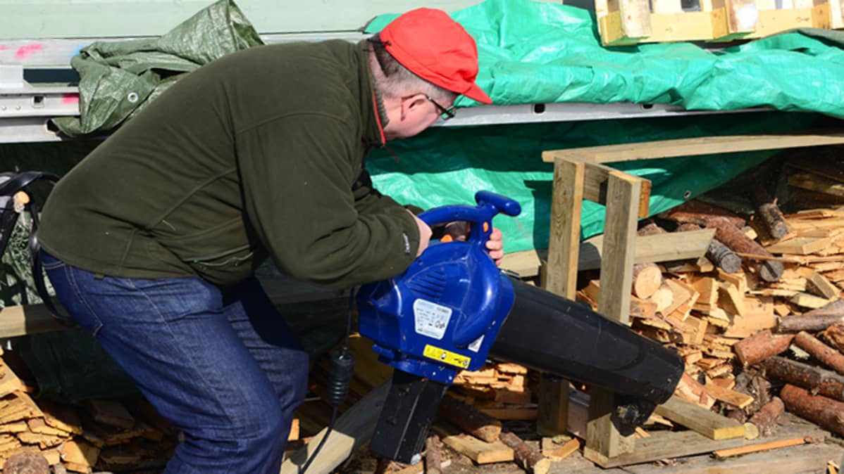 Lehtipuhallin ajaa oravat halkopinon takaa.
