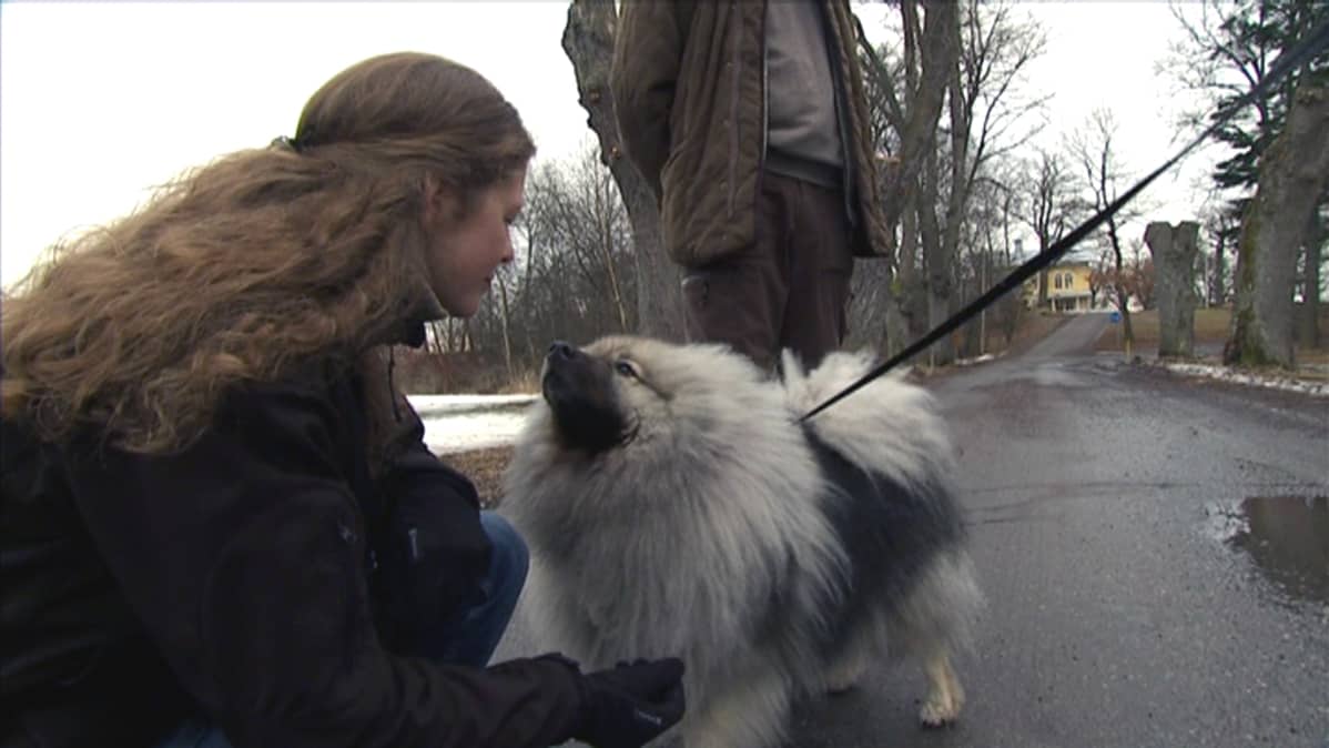 Luonnonsuojelutyöntekijä Emma Kosonen silittää koiraa.
