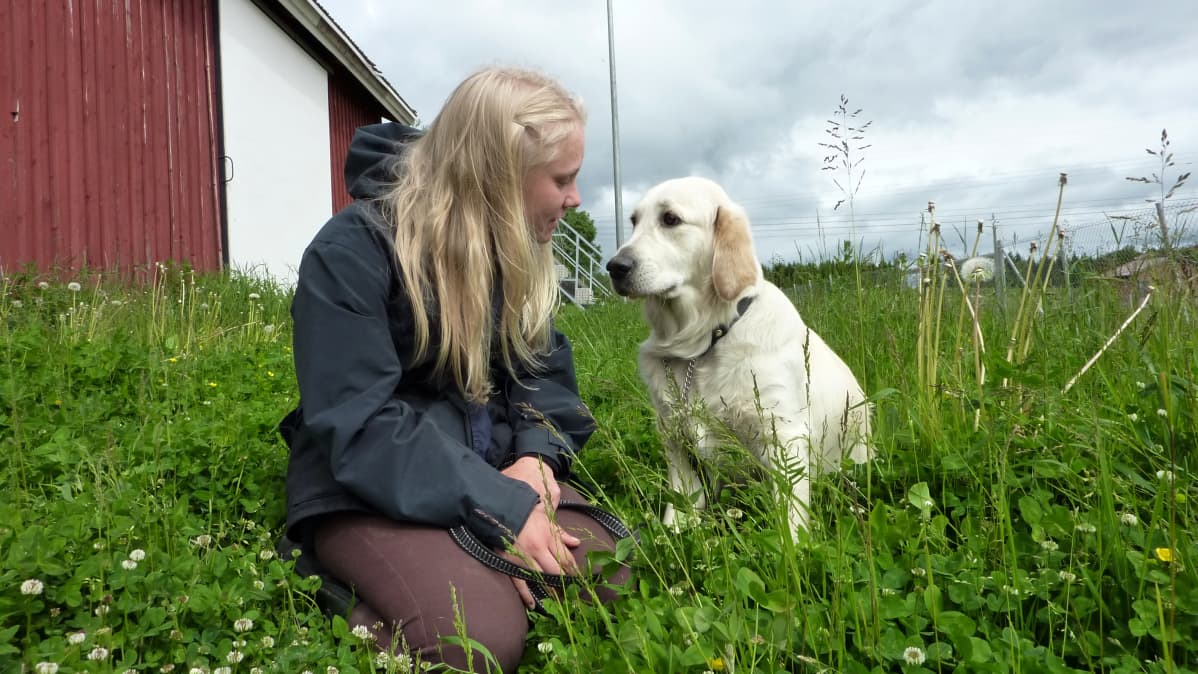 Sinikka Moilanen ja Wilma koira nurmikolla