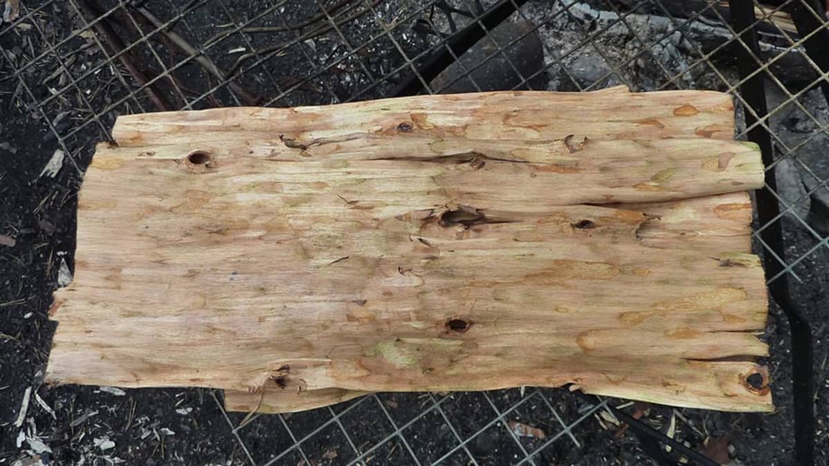 Pettuliina eli tasoksi suoristettu männyn kuori ritilän päällä.