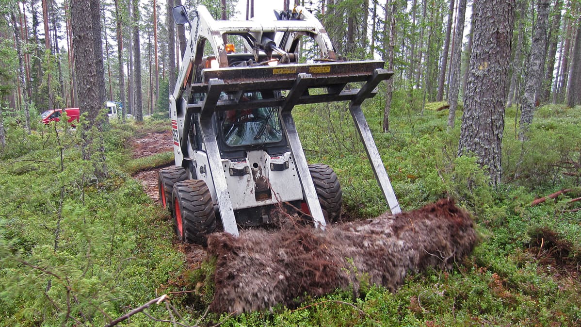 Piiraisen Kuntta Piiraisen Viherpalvelu