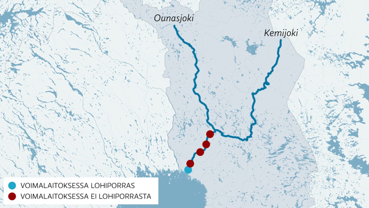 Kartan päälle piirrety graafi voimalaitosten lohiportaista.
