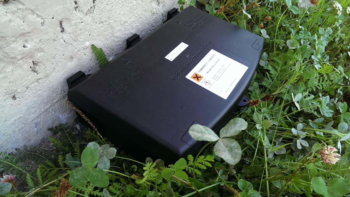 Rottien myrkytykseen tarkoitettu syöttiasema.