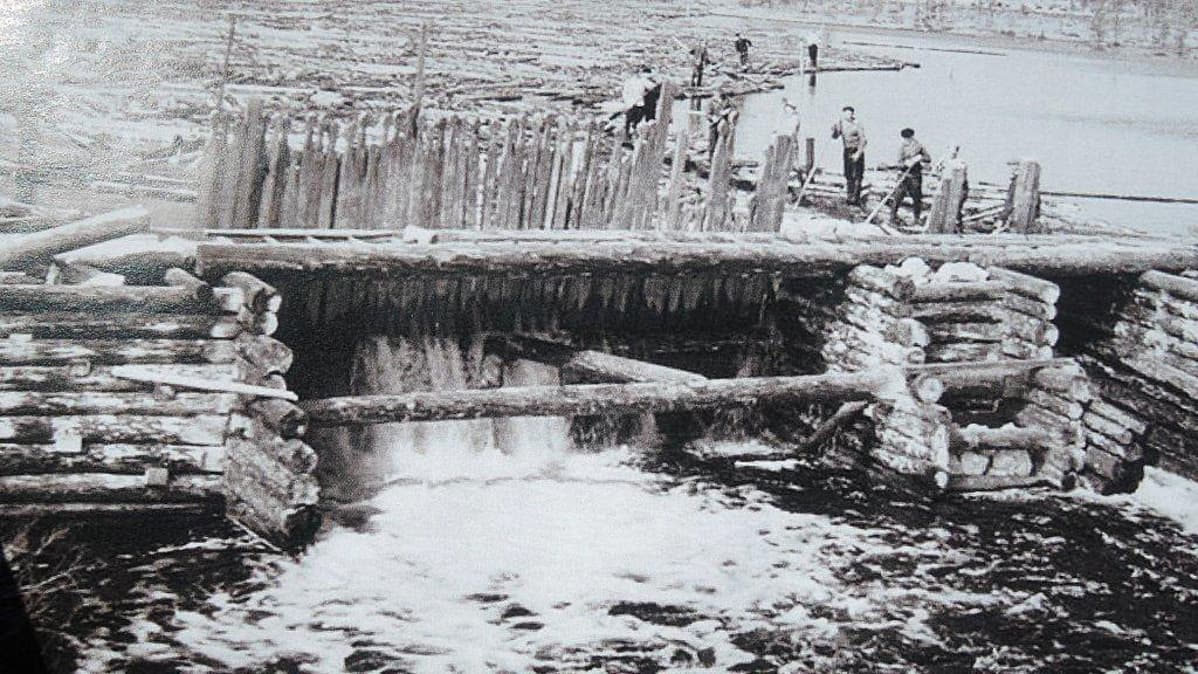 Uittotyötä Pyhäjoen alatammella joskus 1930-luvulla