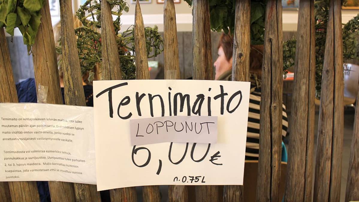 Julkkikset isot kalutrintojen imee seksiä videoita
