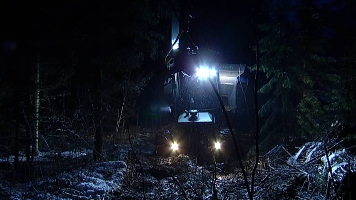 Metsäkone.