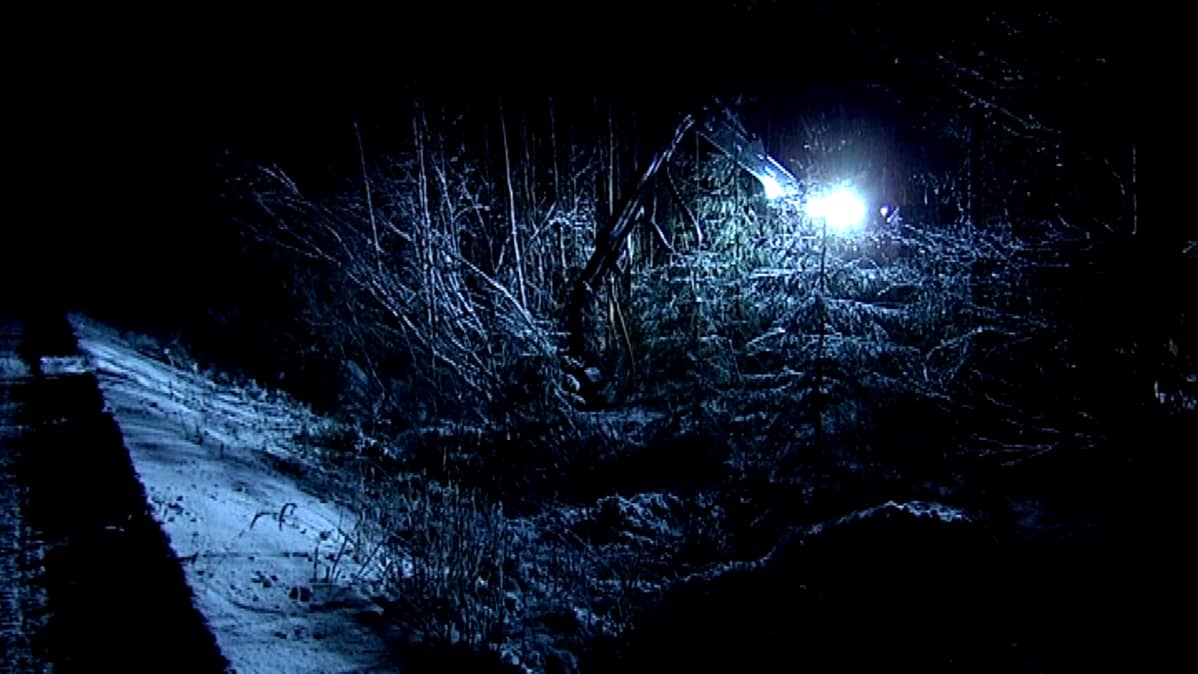 Energiapuuta korjataan pimeässä metsässä.