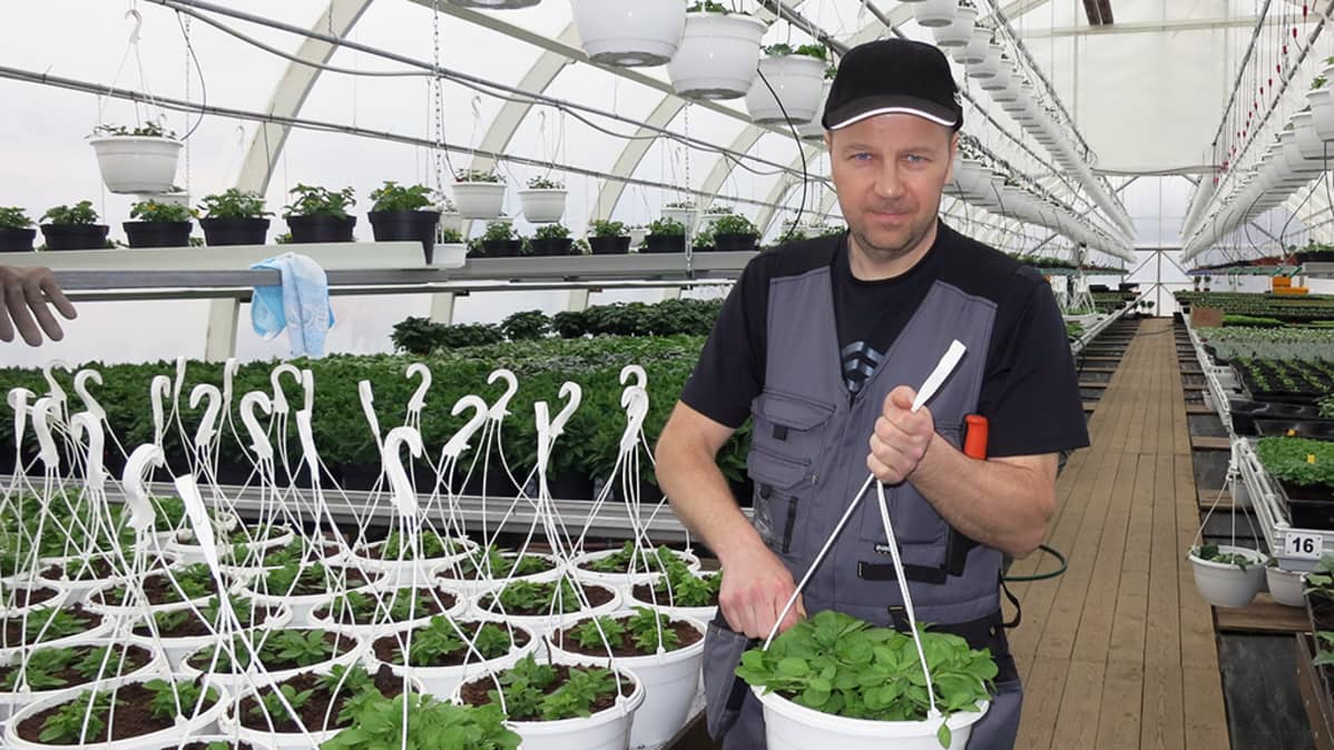 Niskan Puutarhan yrittäjä Tarmo Niska