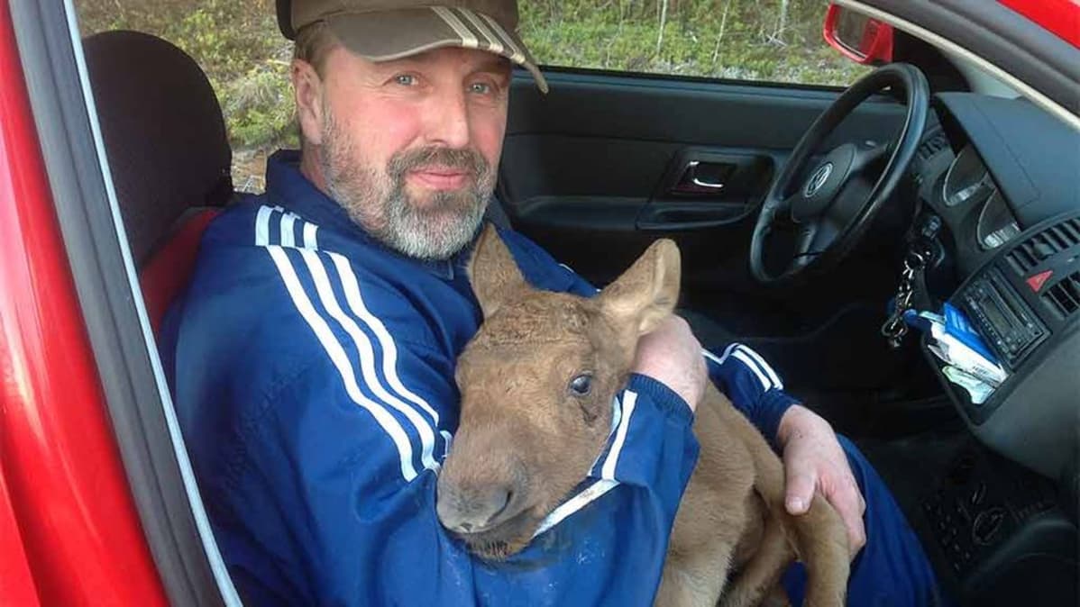 Kuvassa Mikko Perander istuu autossa vasa sylissä.