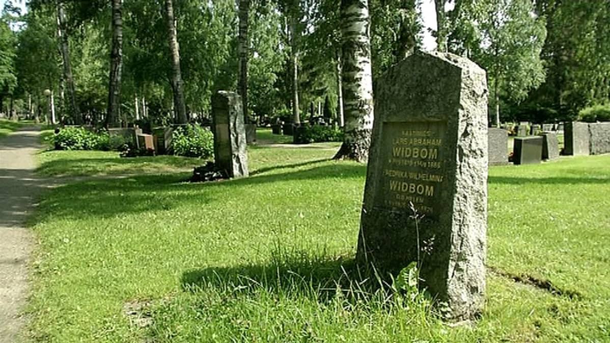 Suuria koivuja kasvaa hautausmaalla.