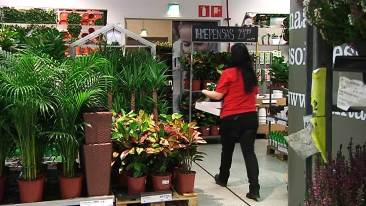 Plantagenin myymälä Kampin kauppakeskuksessa.