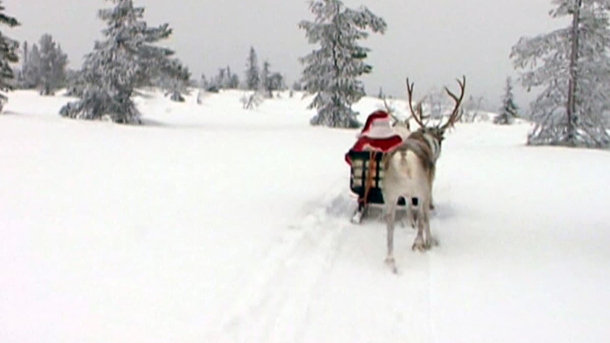 Joulupukki porojen vetämänä reessä.