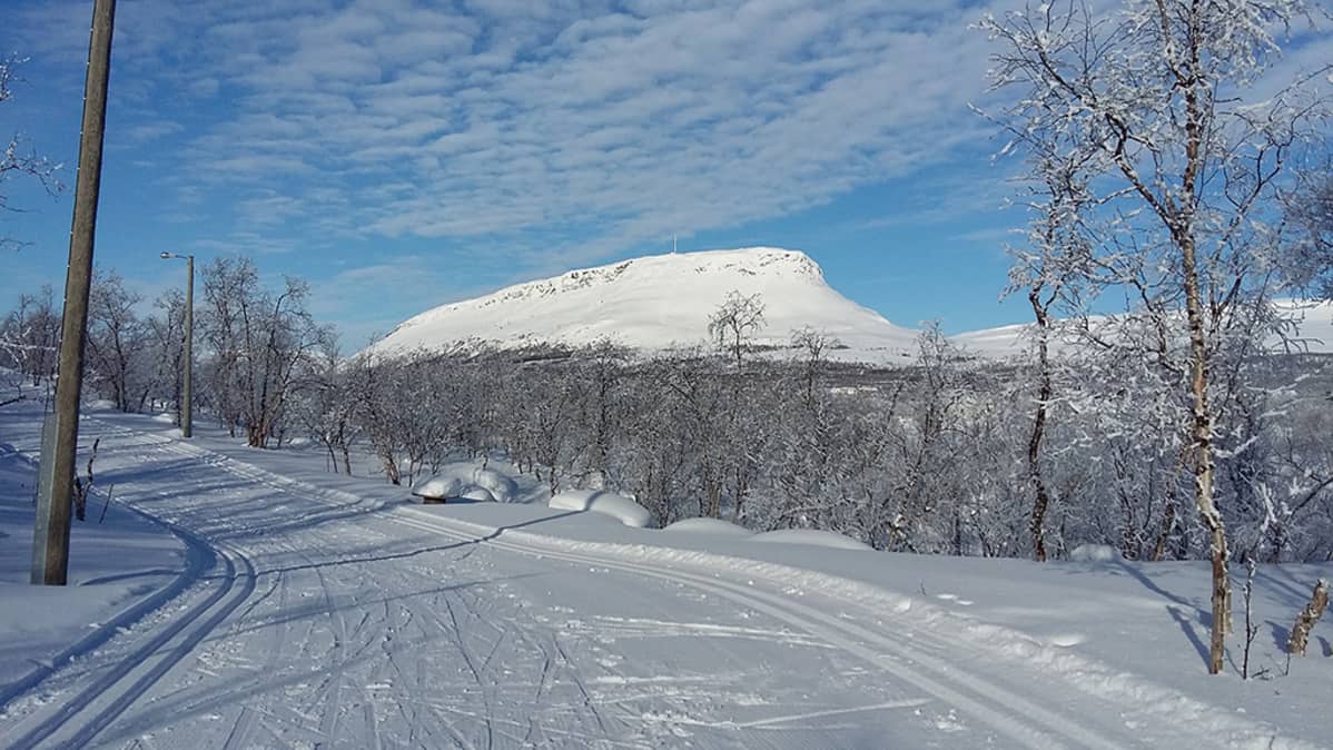 Saanatunturi Kilpisjärvellä