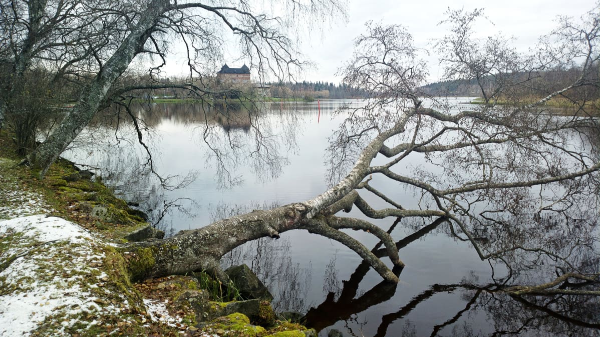Vanajaveden laakso ja Aulanko.