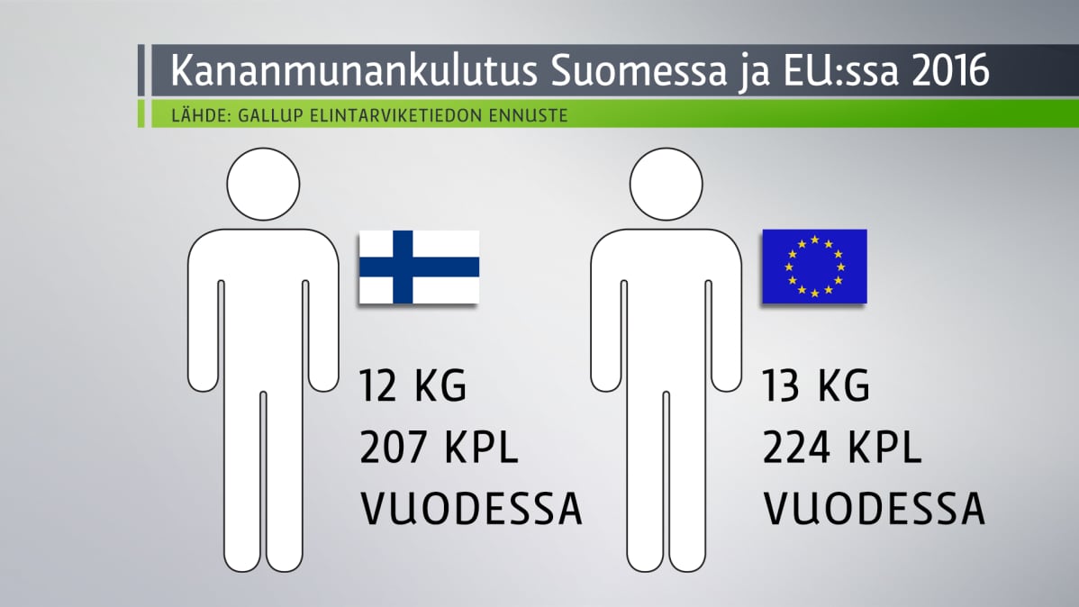 Grafiikka kertoo kananmunantuotannosta Suomessa.