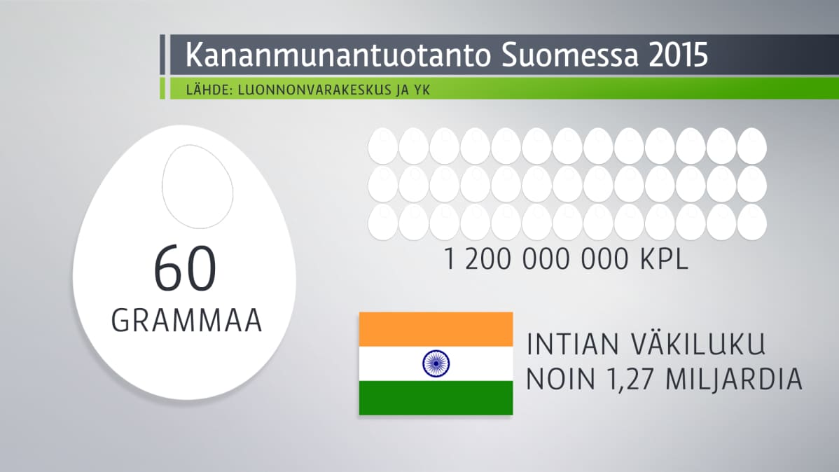 Grafiikka kertoo kananmunantuotannosta Suomessa.