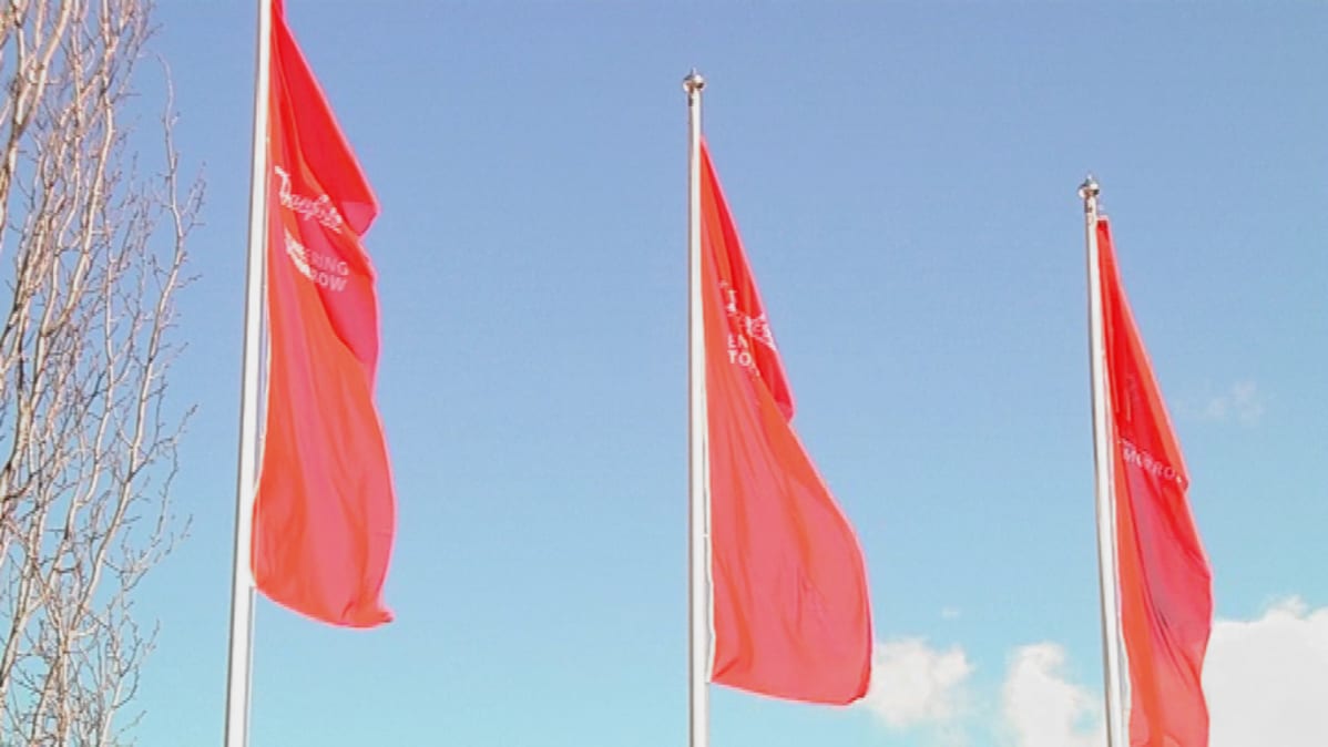 Danfossin punaiset liput liehuvat Vaconin pihassa