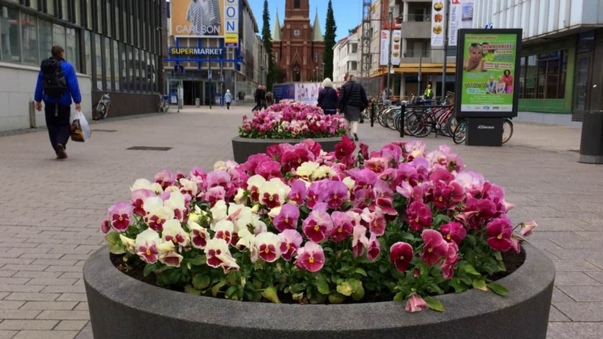 Kukkaistutuksia Mikkelin kävelykadulla.