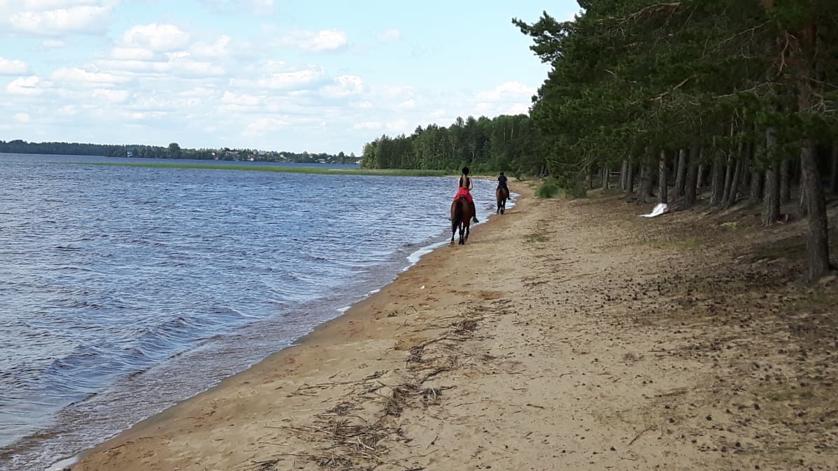 Säämäjärven ranta.