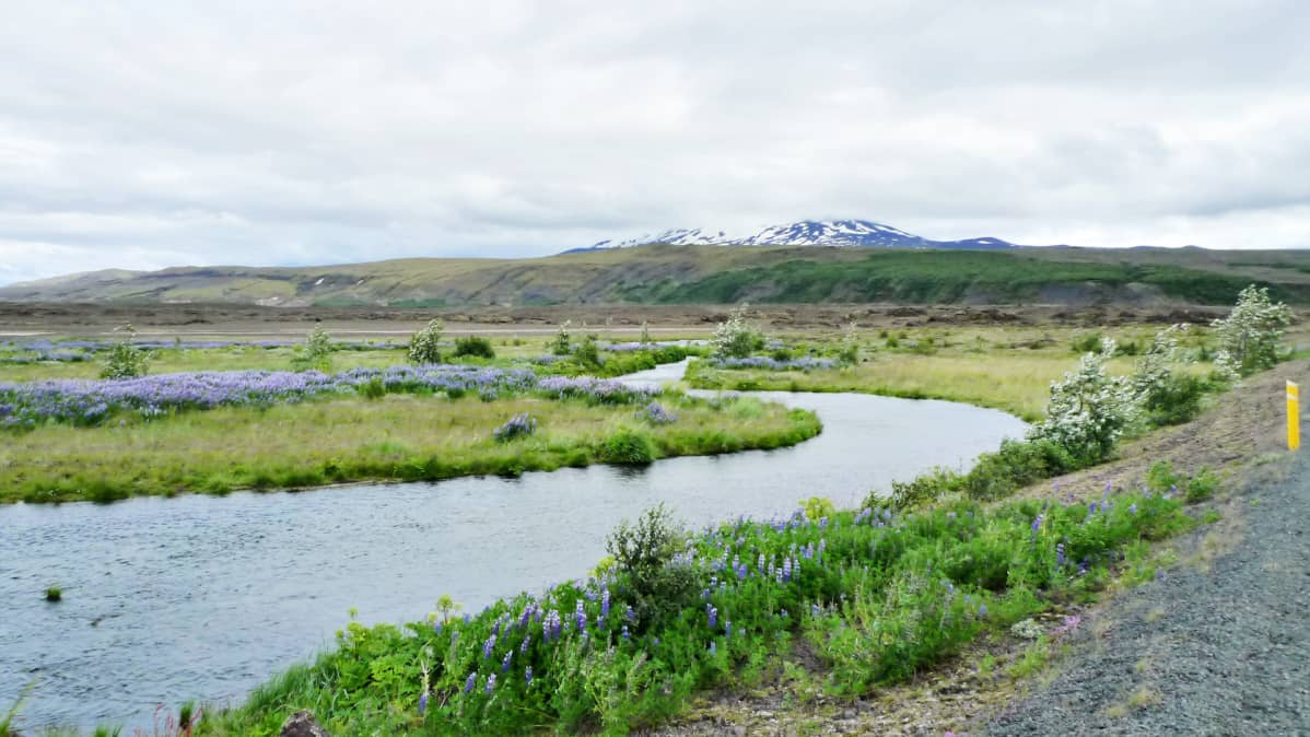 Hekla-tulivuori.