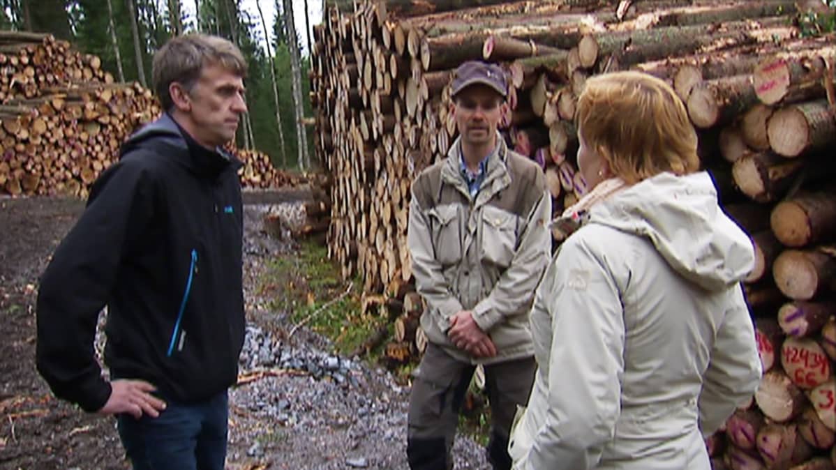 Hollolaisen metsäpalstan omistaja Antti Mäkinen ja Päijät-Hämeen metsänhoitoyhdistyksen metsäasiantuntija Mikko Heikkinen keskustelvat toimittajan kanssa