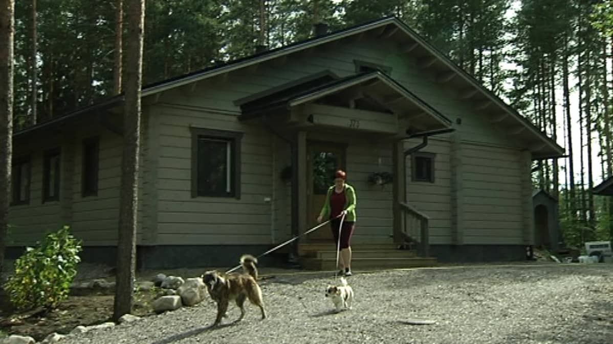 Vikströmien talo sijaitsee jylhän metsän siimeksessä.