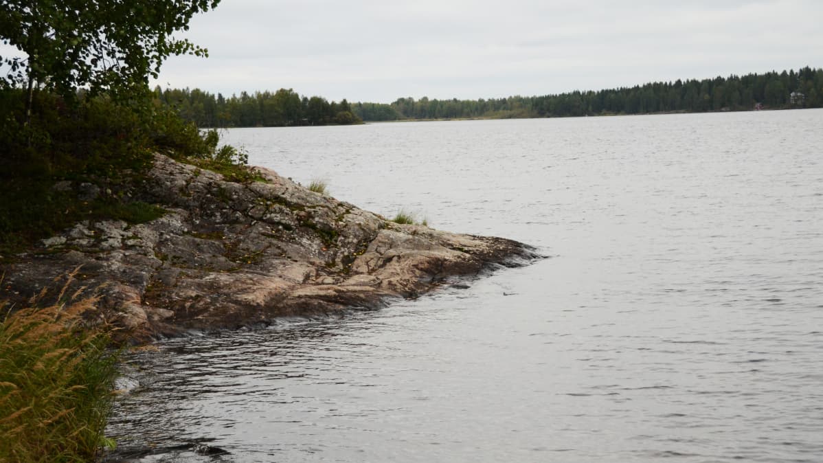 Kalliosaaren rantaa.